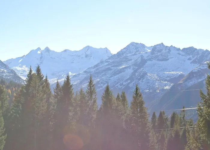 Daire Haus Wiesberger Top25 Suedseite