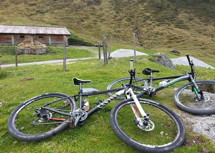 Daire Haus Wiesberger Top25 Suedseite