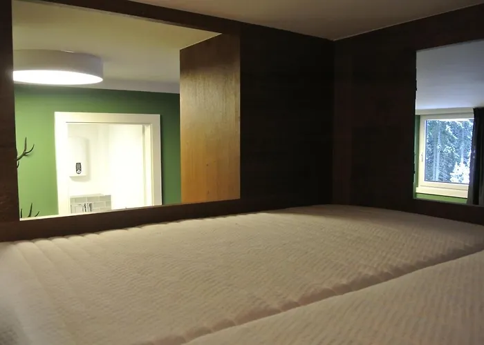 Haus Wiesberger Top25 Suedseite Daire