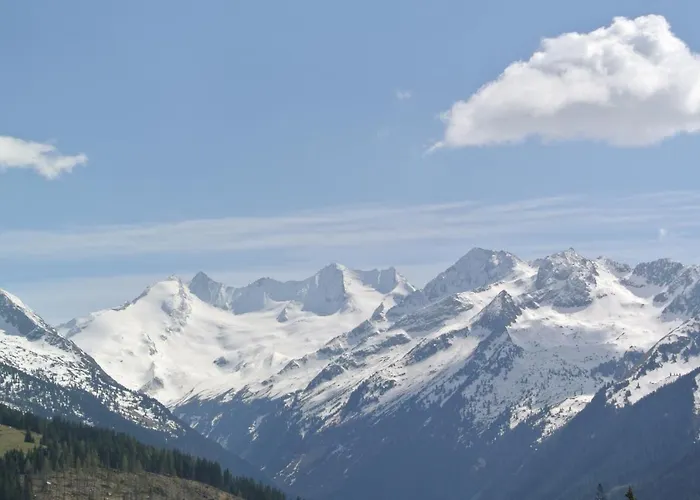 Haus Wiesberger Top25 Suedseite Daire