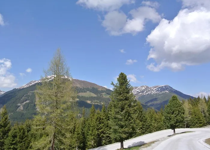 Haus Wiesberger Top25 Suedseite Daire